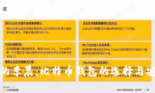 《非你莫属的李晨：比特币钱包的选择与安全性分析》