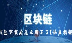 泰达币钱包下载后怎么用
