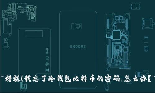 “糟糕！我忘了冷钱包比特币的密码，怎么办？”