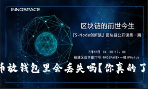狗狗币放钱包里会丢失吗?你真的了解吗?