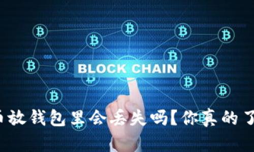 狗狗币放钱包里会丢失吗?你真的了解吗?