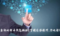 如何高效查询比特币钱包