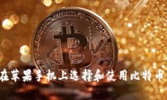 如何在苹果手机上选择和