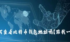 你知道如何查看比特币钱