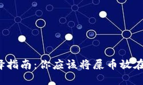 屎币钱包选择指南：你应该将屎币放在哪个钱包里？