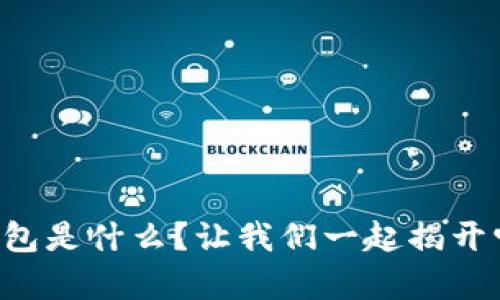 比特币钱包是什么？让我们一起揭开它的奥秘！