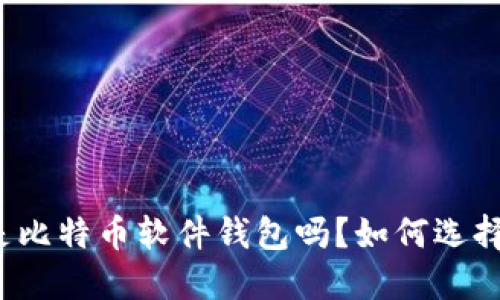 你知道什么是比特币软件钱包吗？如何选择最适合我的？