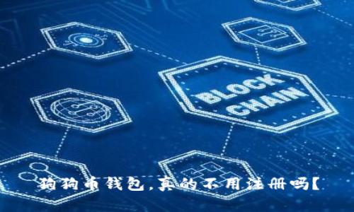 狗狗币钱包，真的不用注册吗？