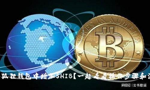 如何在小狐狸钱包中增加SHIB？一起看看操作步骤和注意事项！