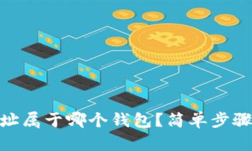 想知道USDT地址属于哪个钱包？简单步骤帮你找到答案！