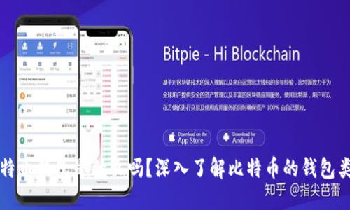 你知道比特币钱包是什么吗？深入了解比特币的钱包类型与功能