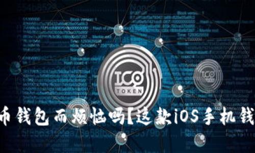 您还在为选择比特币钱包而烦恼吗？这款iOS手机钱包会让你爱不释手！