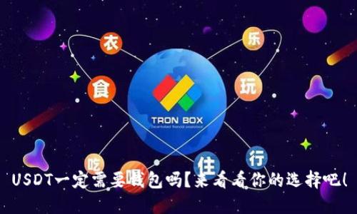 USDT一定需要钱包吗？来看看你的选择吧！