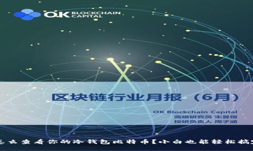  怎么查看你的冷钱包比特币？小白也能轻松搞定！