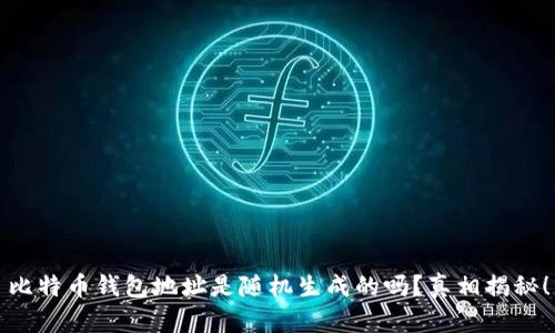 比特币钱包地址是随机生成的吗？真相揭秘！