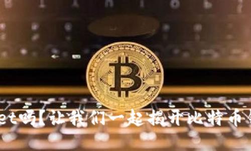 你知道BH Wallet吗？让我们一起揭开比特币钱包的神秘面纱！