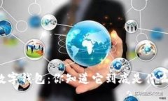 比特币数字钱包：你知道
