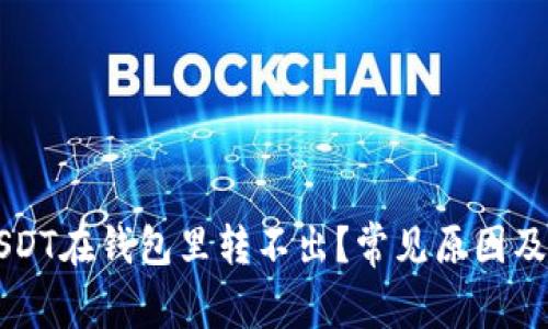 为什么USDT在钱包里转不出？常见原因及解决方法