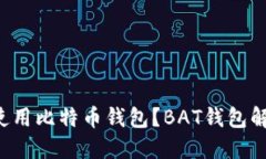 如何安全使用比特币钱包