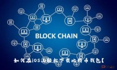 如何在iOS上轻松下载比特