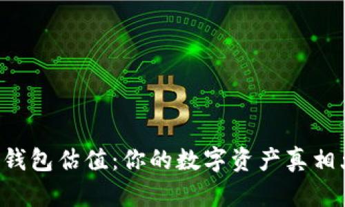 以太坊钱包估值：你的数字资产真相大揭秘！