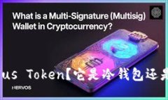 什么是Plus Token？它是冷钱