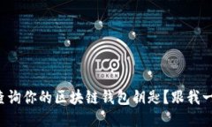 如何轻松查询你的区块链