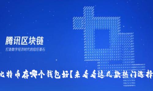 比特币存哪个钱包好？来看看这几款热门选择！