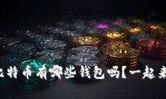 你知道比特币有哪些钱包