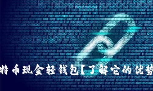 什么是比特币现金轻钱包？了解它的优势与安全性
