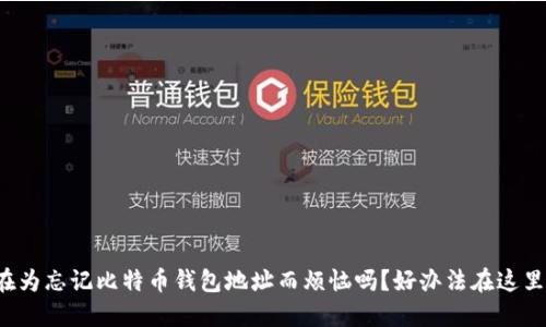 你还在为忘记比特币钱包地址而烦恼吗？好办法在这里等你！