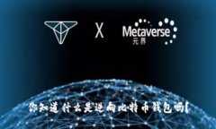 你知道什么是逆向比特币