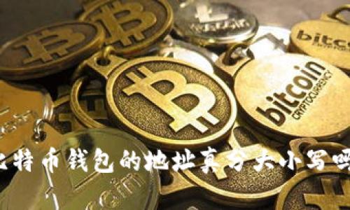 比特币钱包的地址真分大小写吗？