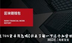 “你听说过TON货币钱包吗