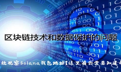 怎么有效观察Solana钱包地址？这里有你需要知道的一切！