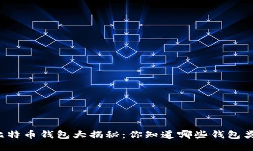 国内比特币钱包大揭秘：你知道哪些钱包类型吗？