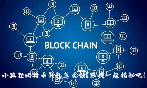 小狐狸比特币钱包怎么领？跟我一起揭秘吧！