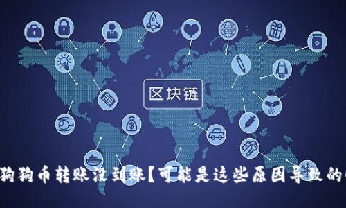 狗狗币转账没到账？可能是这些原因导致的！