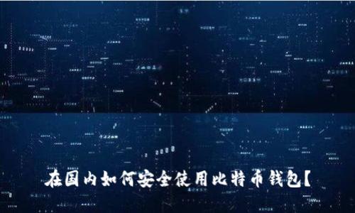 在国内如何安全使用比特币钱包？