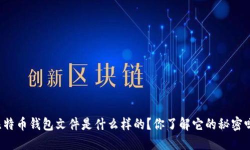 比特币钱包文件是什么样的？你了解它的秘密吗？