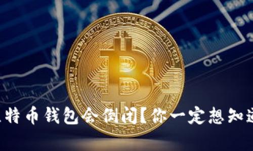 为什么比特币钱包会倒闭？你一定想知道的真相！