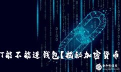 假USDT能不能进钱包？揭秘
