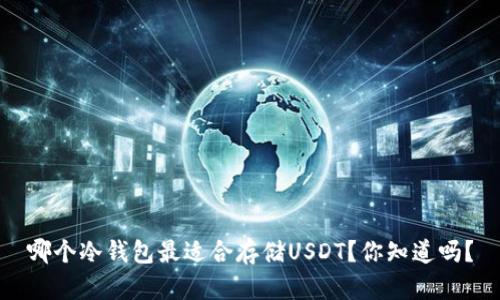哪个冷钱包最适合存储USDT？你知道吗？