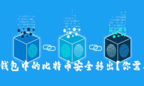 如何将中心化平台的钱包中的比特币安全移出？你需要知道的技巧与步骤！