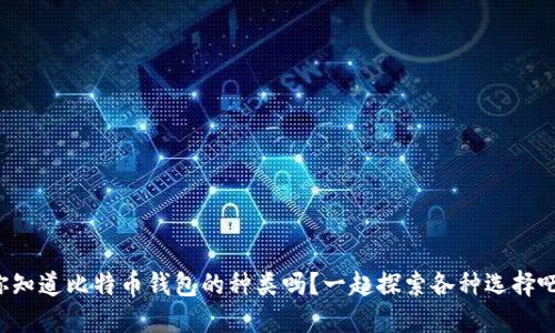 你知道比特币钱包的种类吗？一起探索各种选择吧！
