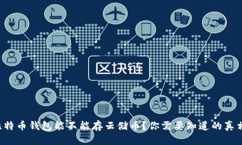 比特币钱包能不能存云储币？你需要知道的真相！