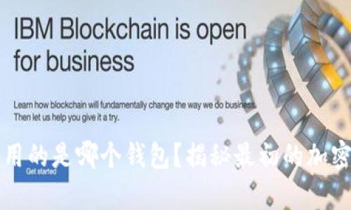 比特币早期使用的是哪个钱包？揭秘最初的加密货币储存方式