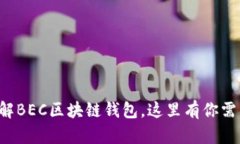 如果你也想了解BEC区块链