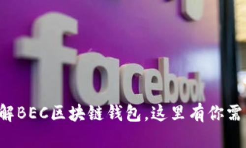 如果你也想了解BEC区块链钱包，这里有你需要知道的一切！