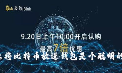 为什么将比特币放进钱包是个聪明的选择？